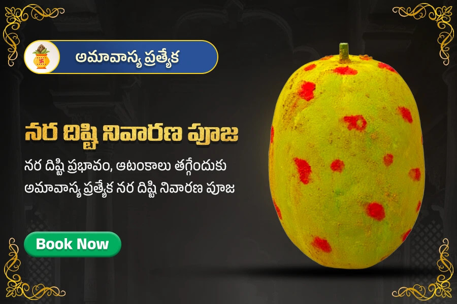 Maha Mrityunjaya Homam